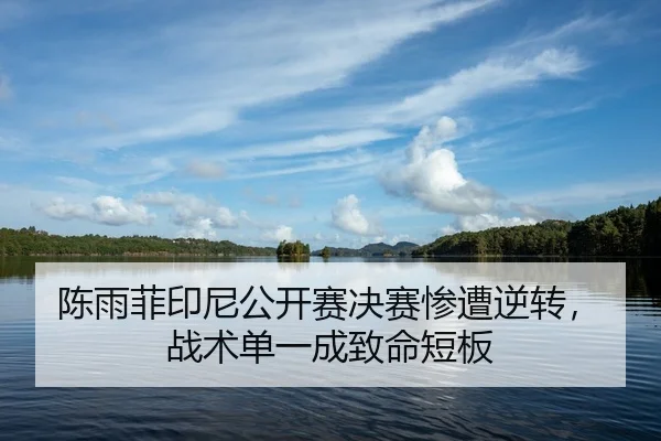 陈雨菲印尼公开赛决赛惨遭逆转，战术单一成致命短板