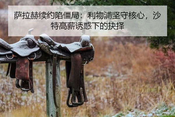 sa-la-he-xu-yue-xian-jiang-ju-li-wu-pu-jian-shou-he-xin-sha-te-gao-xin-you-huo-xia-de-jue-ze-1-795.jpg