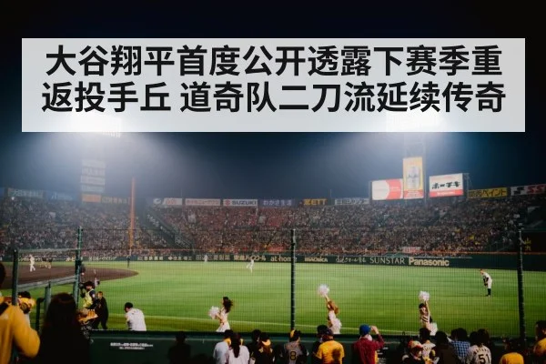 baseball stadium night game