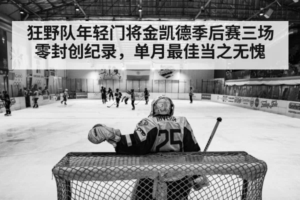 ice hockey playoff action