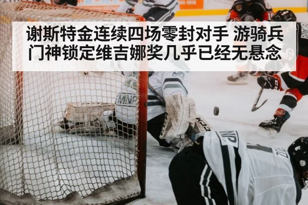 hockey save